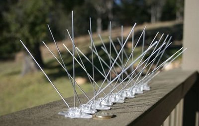 suadagar bird Netting