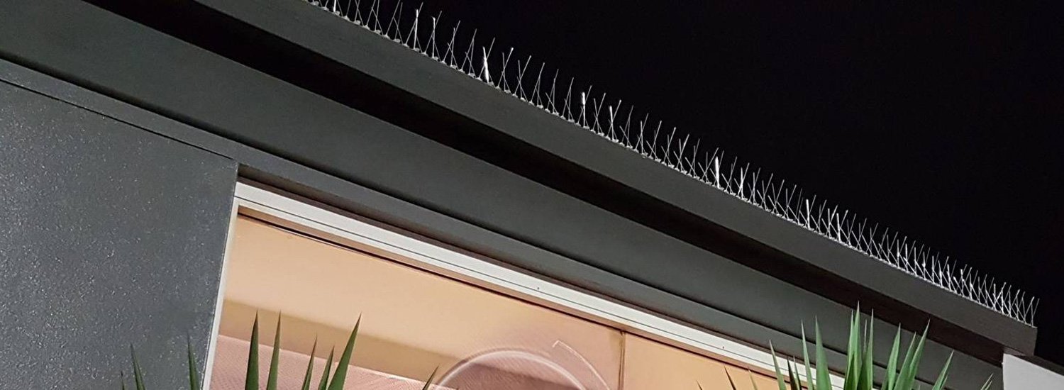 Hi Tech Invisible Bird Netting in Sambhaji Nagar